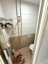 The Sunny Spring (D14), Apartment #535392211